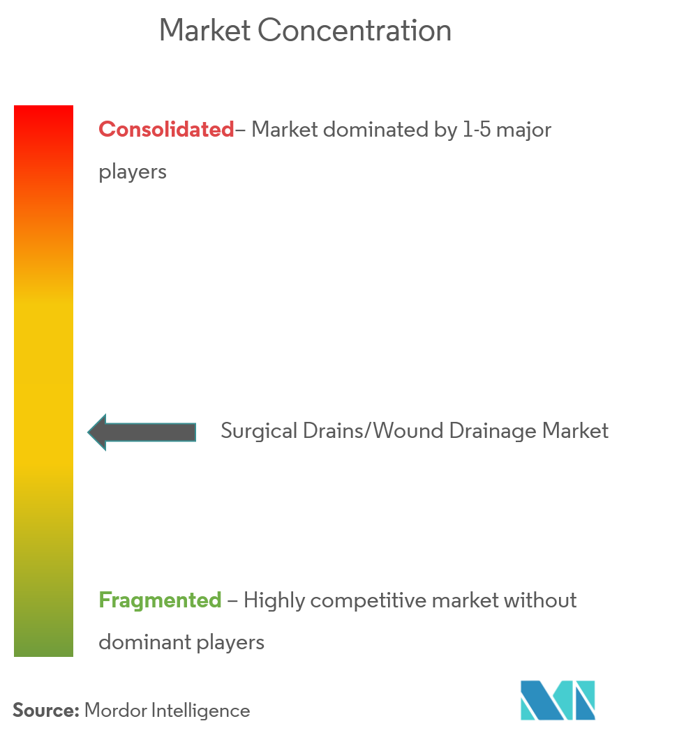 Surgical Drains/Wound Drainage Market Concentration